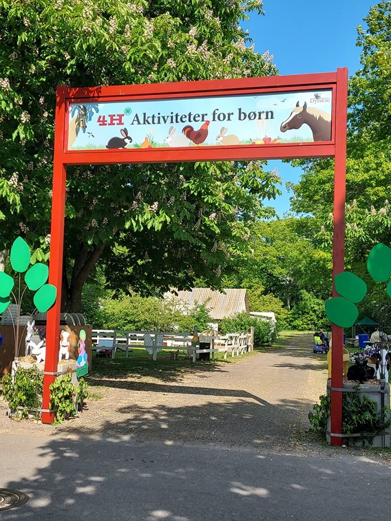 4H PÅ DYRSKUE: GODE DAGE, HØJT HUMØR OG GLADE GÆSTER