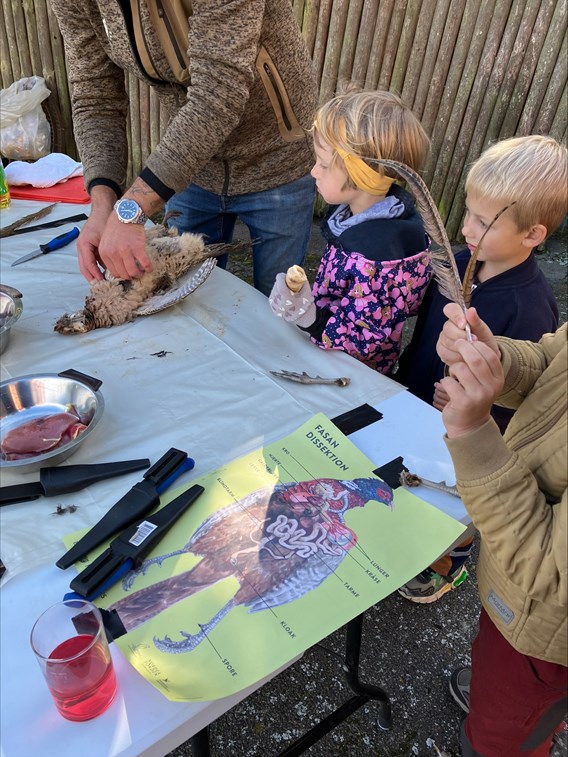 Bål, fasaner og naturkrea på Bornholm